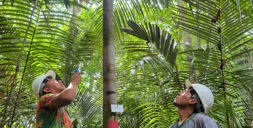 Proteção da vegetação e dos recursos naturais que sustentam a biodiversidade local.