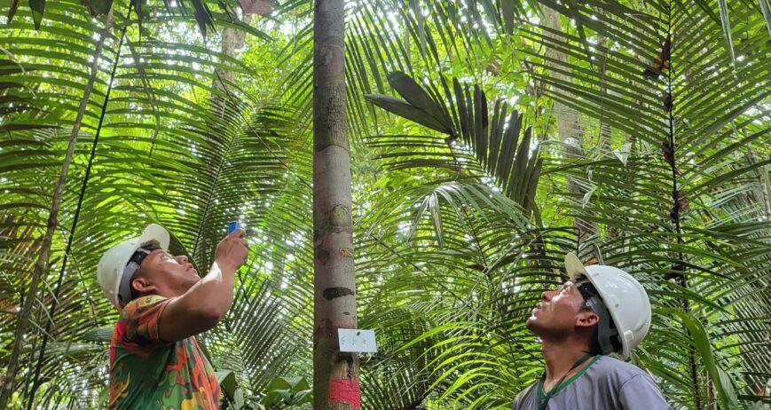 Proteção da vegetação e dos recursos naturais que sustentam a biodiversidade local.
