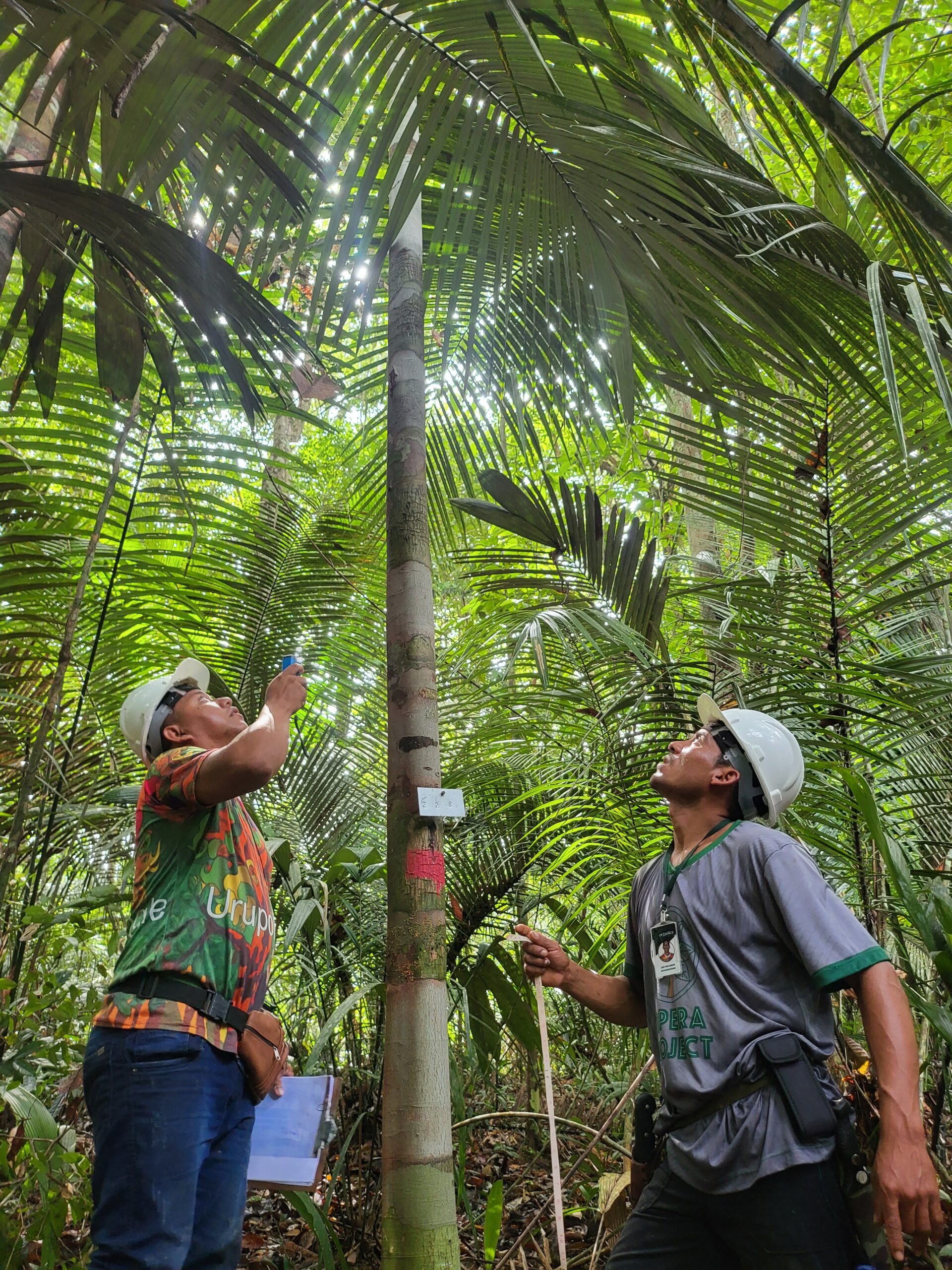 Proteção da vegetação e dos recursos naturais que sustentam a biodiversidade local.